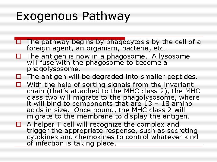 Exogenous Pathway o The pathway begins by phagocytosis by the cell of a foreign