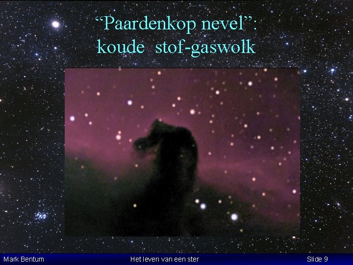 “Paardenkop nevel”: koude stof-gaswolk Mark Bentum Het leven van een ster Slide 9 