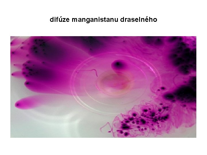 difúze manganistanu draselného 