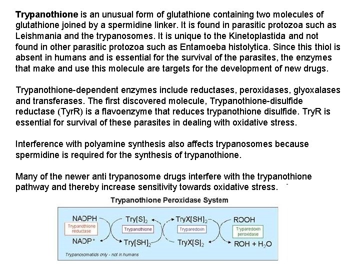 Trypanothione is an unusual form of glutathione containing two molecules of glutathione joined by