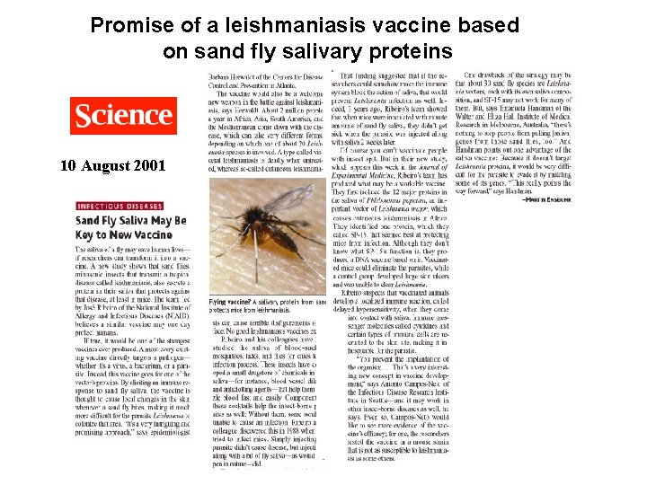 Promise of a leishmaniasis vaccine based on sand fly salivary proteins 10 August 2001