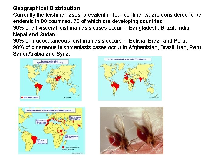 Geographical Distribution Currently the leishmaniases, prevalent in four continents, are considered to be endemic