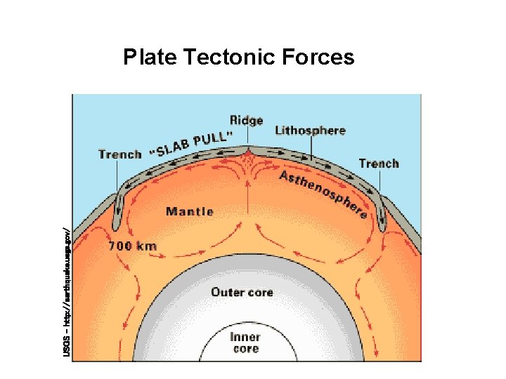 USGS - http: //earthquake. usgs. gov/ Plate Tectonic Forces 