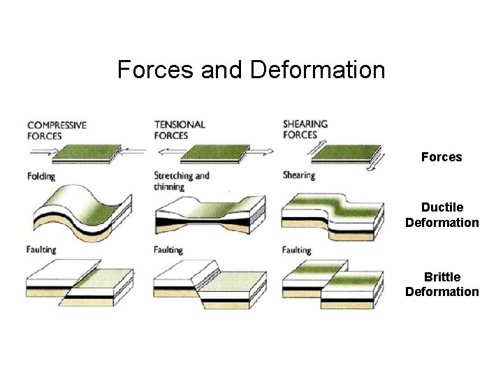 Forces and Deformation Forces Ductile Deformation Brittle Deformation  Forces and Deformation Forces Ductile Deformation Brittle Deformation