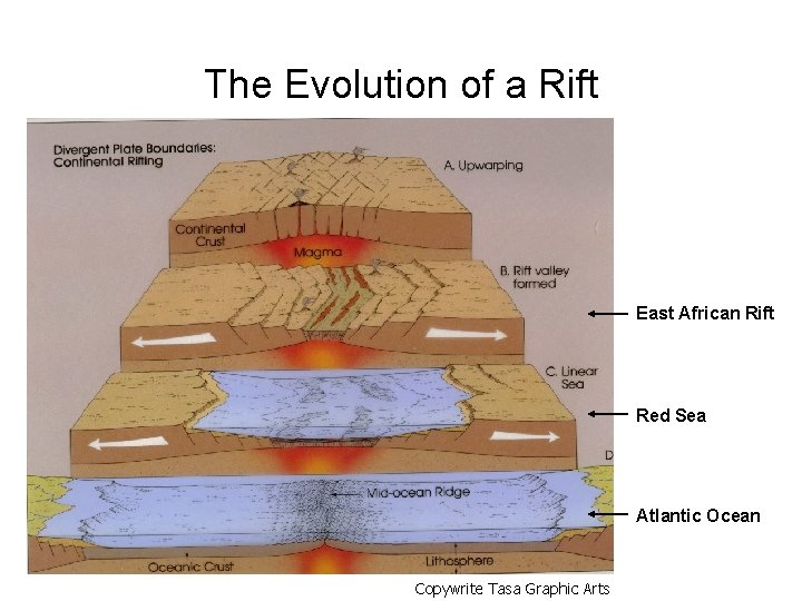 The Evolution of a Rift East African Rift Red Sea Atlantic Ocean Copywrite Tasa The Evolution of a Rift East African Rift Red Sea Atlantic Ocean Copywrite Tasa