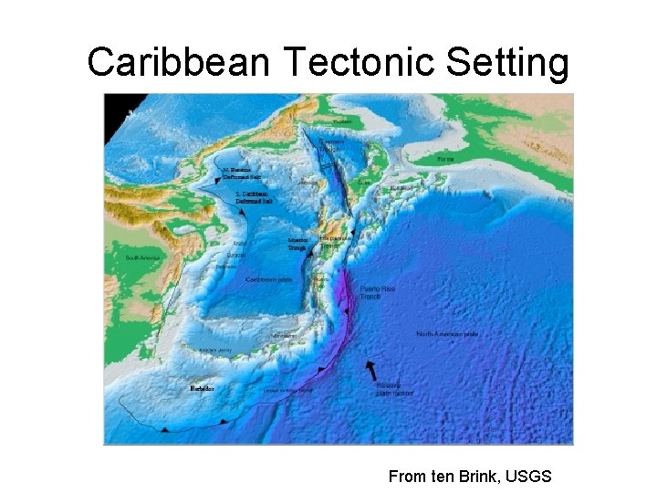 Caribbean Tectonic Setting From ten Brink, USGS  Caribbean Tectonic Setting From ten Brink, USGS