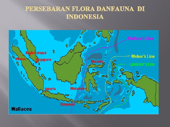 PERSEBARAN FLORA DANFAUNA DI INDONESIA 