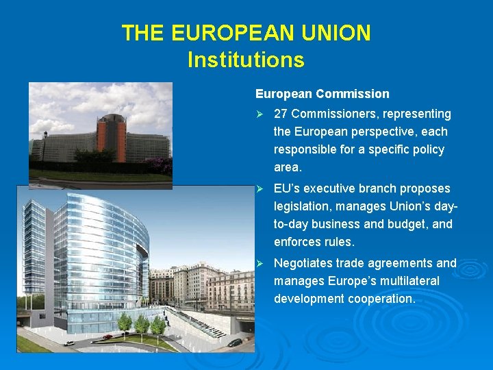 THE EUROPEAN UNION Institutions European Commission Ø 27 Commissioners, representing the European perspective, each