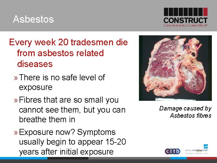 Asbestos Every week 20 tradesmen die from asbestos related diseases » There is no