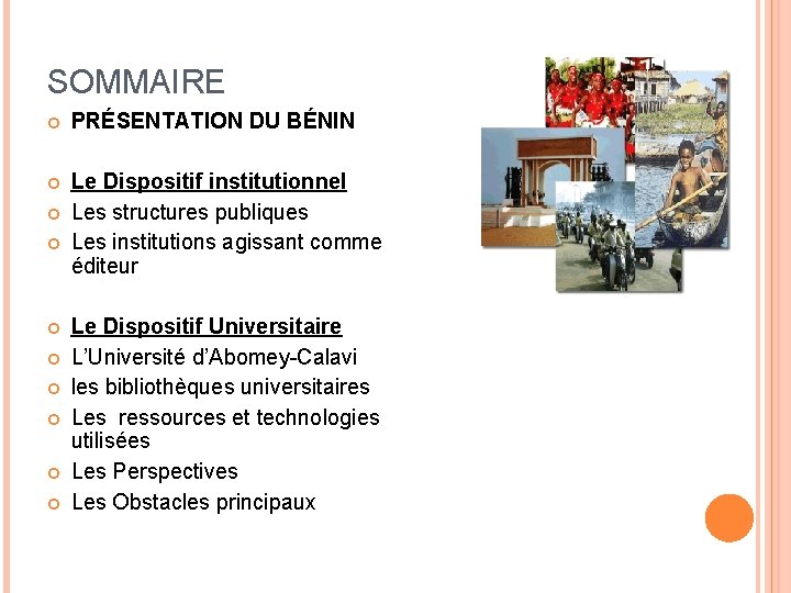 SOMMAIRE PRÉSENTATION DU BÉNIN Le Dispositif institutionnel Les structures publiques Les institutions agissant comme