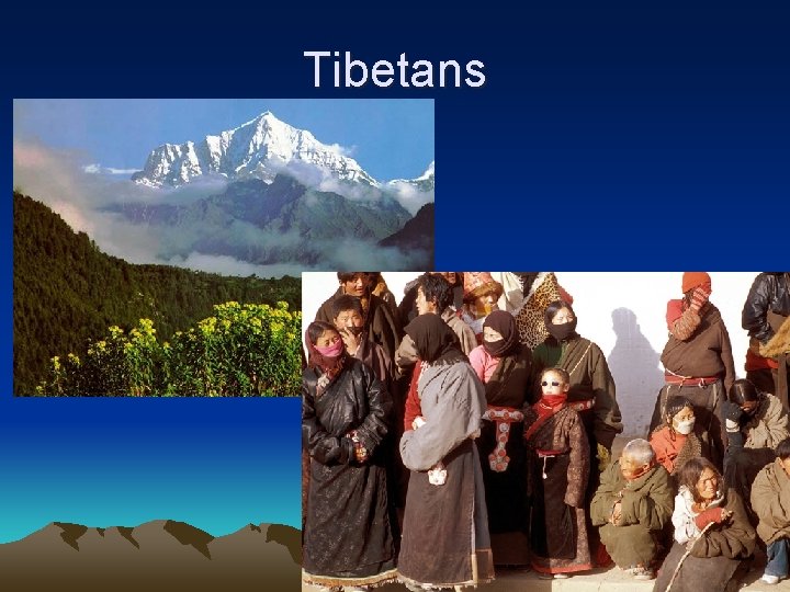 Tibetans 