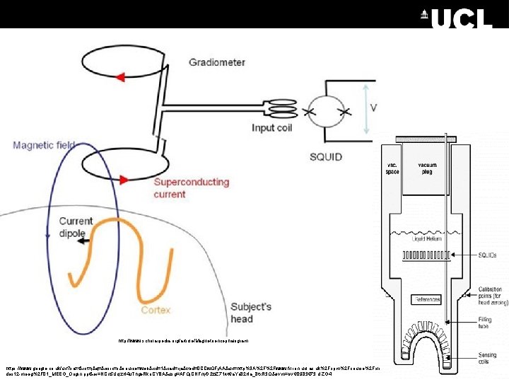 http: //www. scholarpedia. org/article/Magnetoencephalogram https: //www. google. co. uk/url? sa=t&rct=j&q=&esrc=s&source=web&cd=1&cad=rja&ved=0 CCw. QFj. AA&url=http%3 A%2