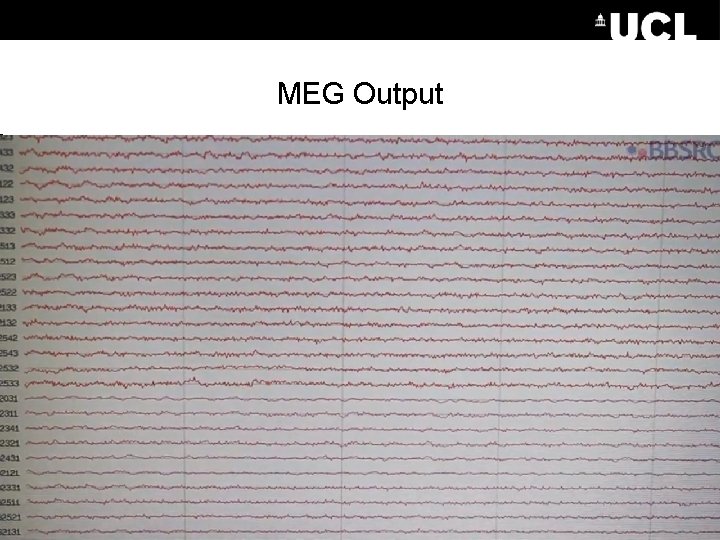 MEG Output 29 