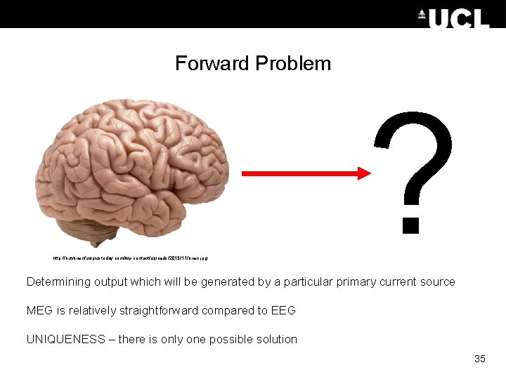 Forward Problem http: //buybrainfuelplustoday. com/wp-content/uploads/2013/11/brain. jpg ? Determining output which will be generated by