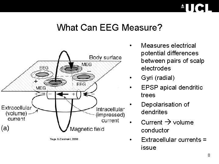 What Can EEG Measure? • • • Tiege & Zlobinski, 2006 • Measures electrical