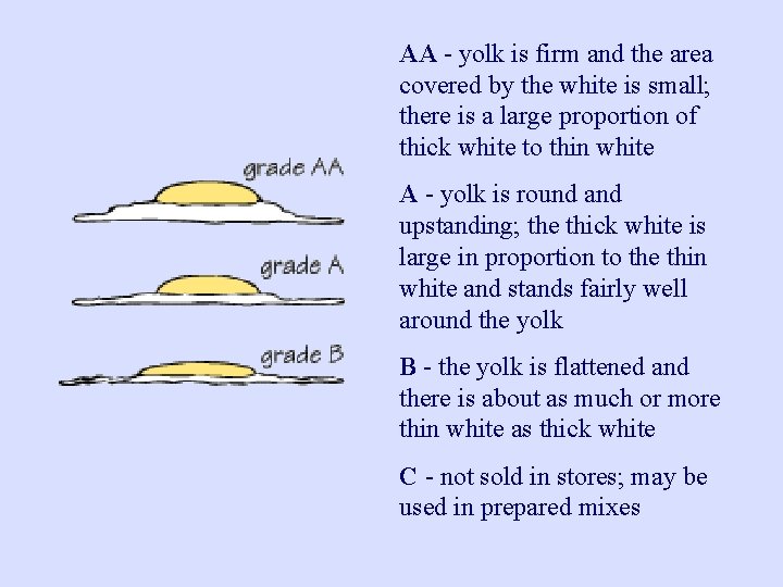 AA - yolk is firm and the area covered by the white is small;