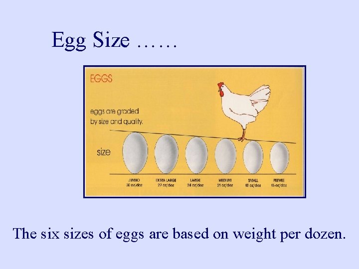 Egg Size …… The six sizes of eggs are based on weight per dozen.