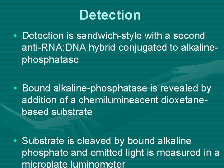 Detection • Detection is sandwich-style with a second anti-RNA: DNA hybrid conjugated to alkalinephosphatase