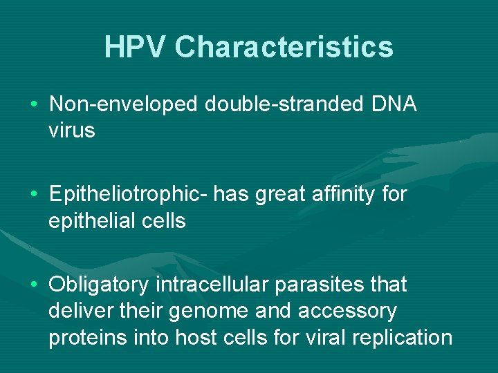 HPV Characteristics • Non-enveloped double-stranded DNA virus • Epitheliotrophic- has great affinity for epithelial