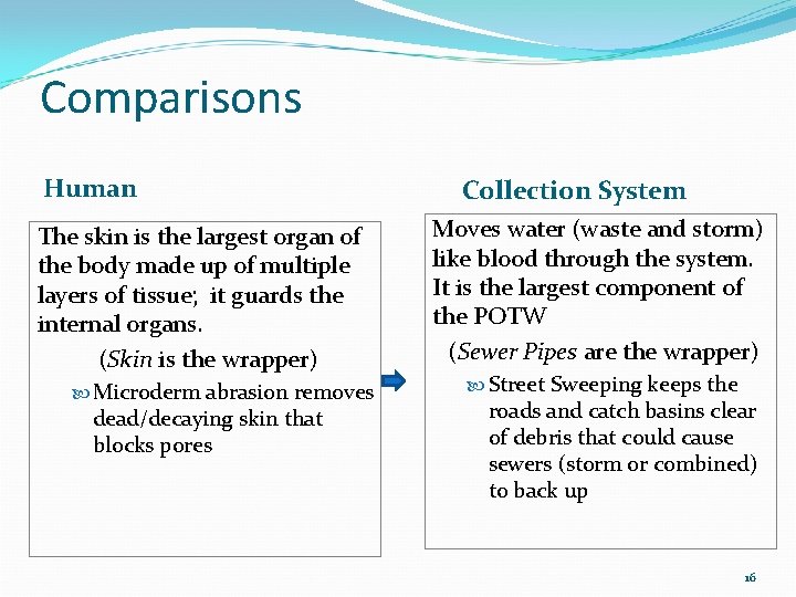 Comparisons Human The skin is the largest organ of the body made up of