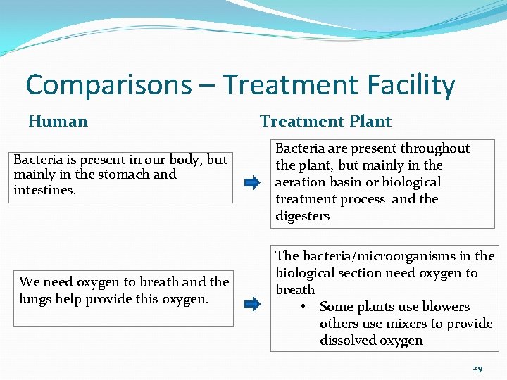Comparisons – Treatment Facility Human Bacteria is present in our body, but mainly in