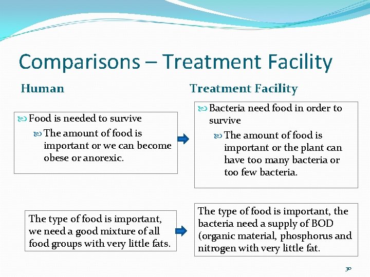 Comparisons – Treatment Facility Human Food is needed to survive The amount of food