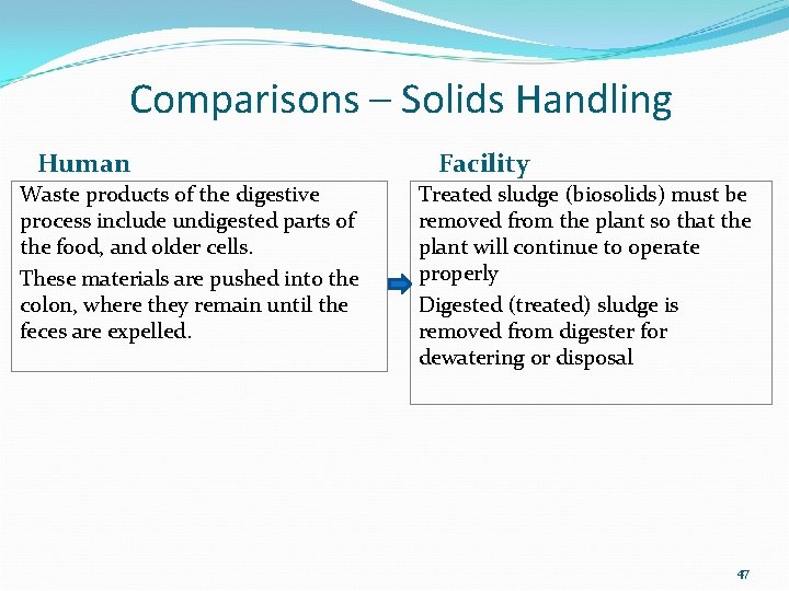 Comparisons – Solids Handling Human Waste products of the digestive process include undigested parts