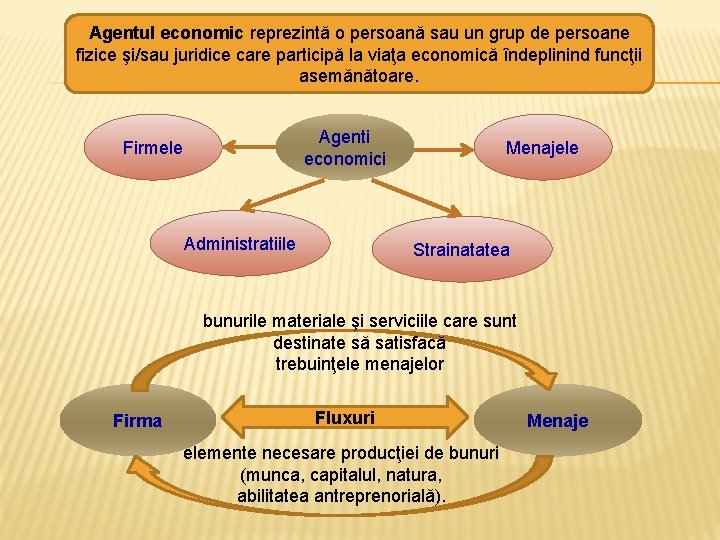 Agentul economic reprezintă o persoană sau un grup de persoane fizice şi/sau juridice care Agentul economic reprezintă o persoană sau un grup de persoane fizice şi/sau juridice care