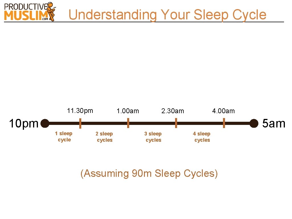Understanding Your Sleep Cycle 11. 30 pm 1. 00 am 2. 30 am 4.