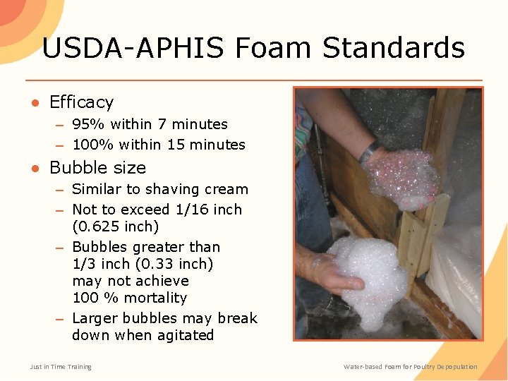 USDA-APHIS Foam Standards ● Efficacy – 95% within 7 minutes – 100% within 15