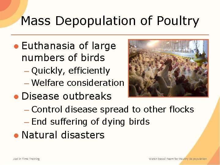 Mass Depopulation of Poultry ● Euthanasia of large numbers of birds – Quickly, efficiently
