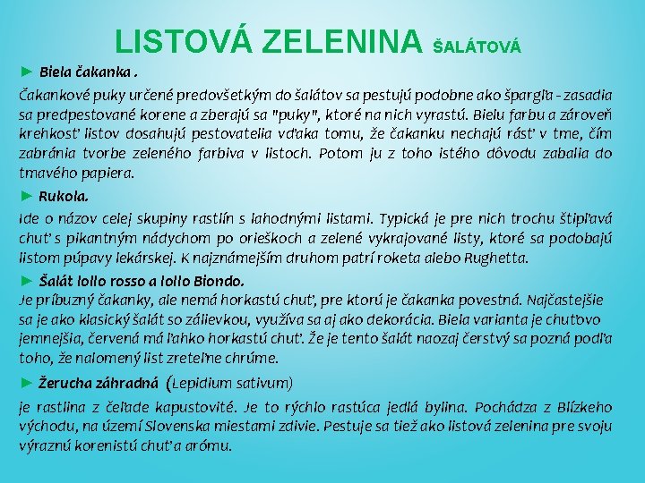 LISTOVÁ ZELENINA ŠALÁTOVÁ ► Biela čakanka. Čakankové puky určené predovšetkým do šalátov sa pestujú