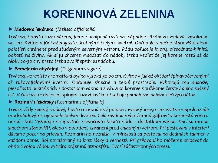 KORENINOVÁ ZELENINA ► Medovka lekárska (Melissa officinalis) Trvácna, bohato rozkonárená, jemne ochlpená rastlina, nápadne