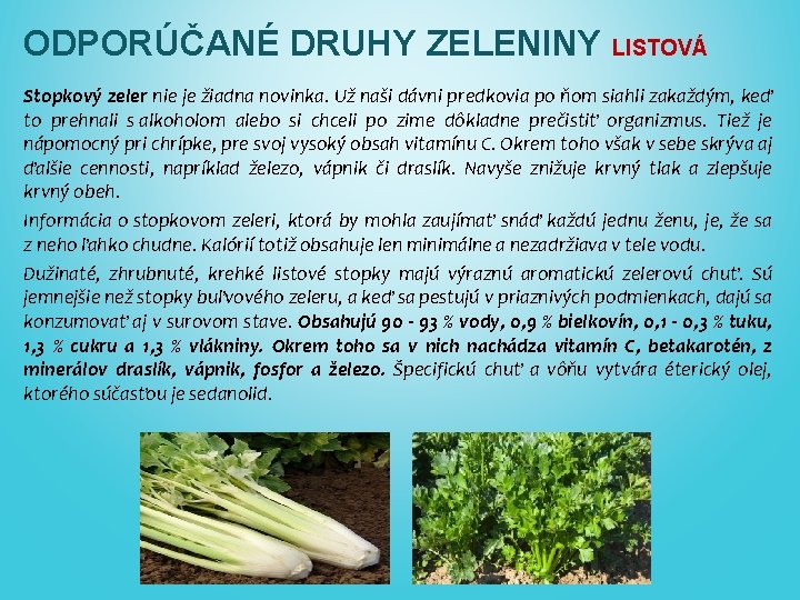ODPORÚČANÉ DRUHY ZELENINY LISTOVÁ Stopkový zeler nie je žiadna novinka. Už naši dávni predkovia