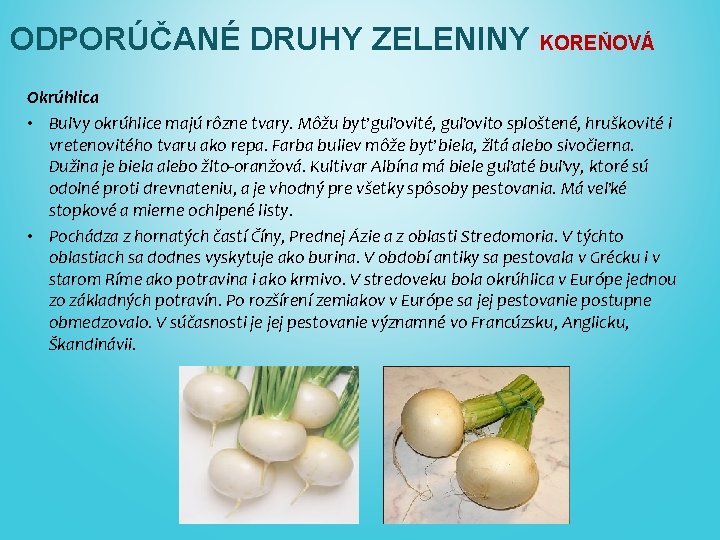 ODPORÚČANÉ DRUHY ZELENINY KOREŇOVÁ Okrúhlica • Buľvy okrúhlice majú rôzne tvary. Môžu byť guľovité,