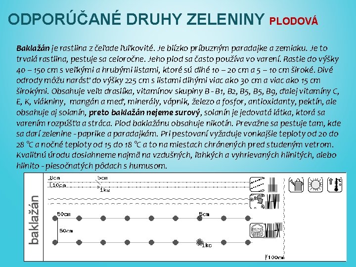 ODPORÚČANÉ DRUHY ZELENINY PLODOVÁ Baklažán je rastlina z čeľade ľuľkovité. Je blízko príbuzným paradajke