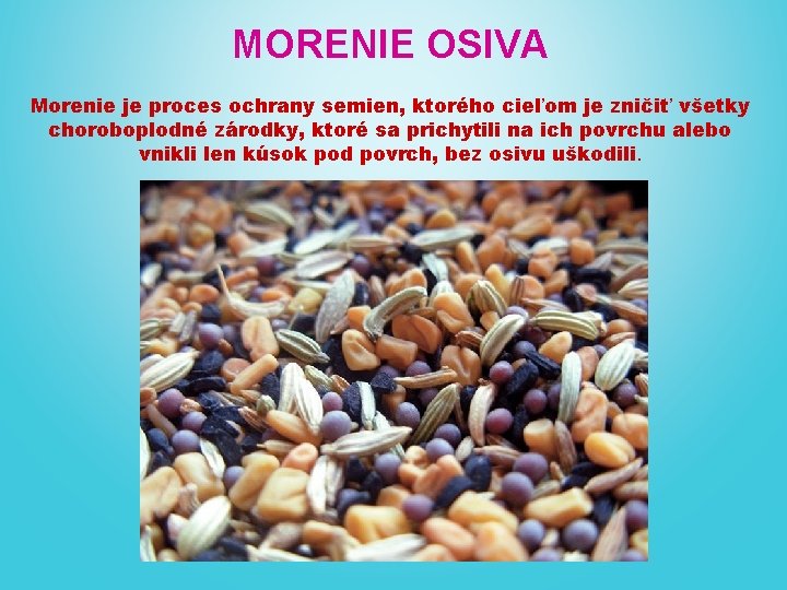 MORENIE OSIVA Morenie je proces ochrany semien, ktorého cieľom je zničiť všetky choroboplodné zárodky,