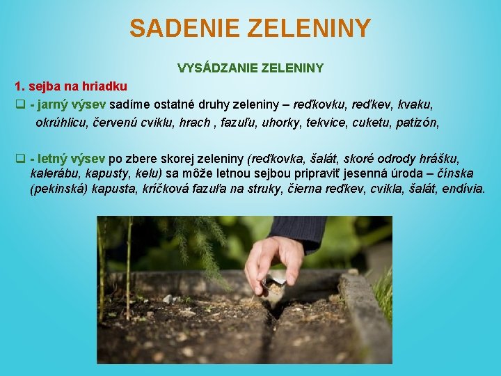 SADENIE ZELENINY VYSÁDZANIE ZELENINY 1. sejba na hriadku q - jarný výsev sadíme ostatné