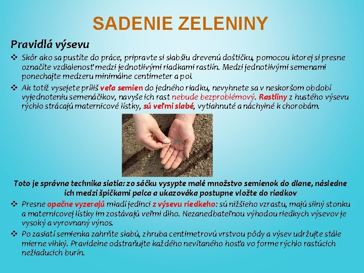SADENIE ZELENINY Pravidlá výsevu v Skôr ako sa pustíte do práce, pripravte si slabšiu