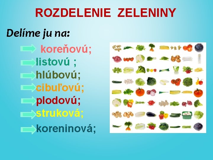 ROZDELENIE ZELENINY Delíme ju na: koreňovú; listovú ; hlúbovú; cibuľovú; plodovú; struková; koreninová; 