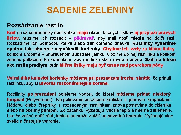 SADENIE ZELENINY Rozsádzanie rastlín Keď sú už semenáčiky dosť veľké, majú okrem klíčnych lístkov