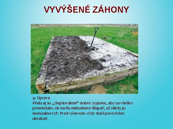 VYVÝŠENÉ ZÁHONY 4. Úprava Pôdu aj so „zlepšovákmi“ dobre zryjeme, aby sa všetko premiešalo.