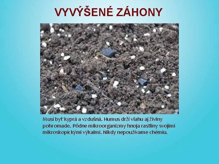 VYVÝŠENÉ ZÁHONY Musí byť kyprá a vzdušná. Humus drží vlahu aj živiny pohromade. Pôdne