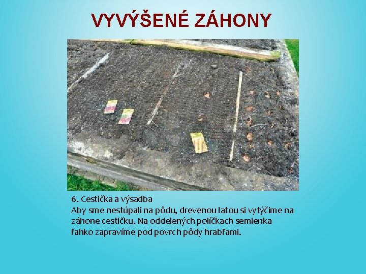 VYVÝŠENÉ ZÁHONY 6. Cestička a výsadba Aby sme nestúpali na pôdu, drevenou latou si