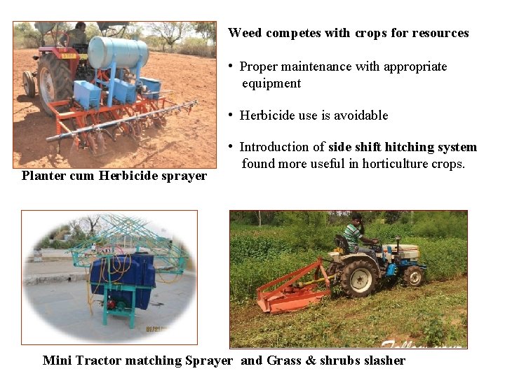 Weed competes with crops for resources • Proper maintenance with appropriate equipment • Herbicide