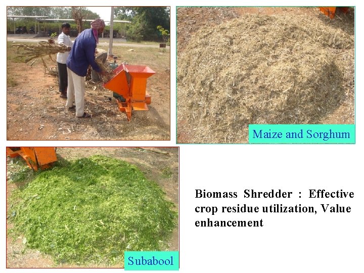 Maize and Sorghum Biomass Shredder : Effective crop residue utilization, Value enhancement Subabool 