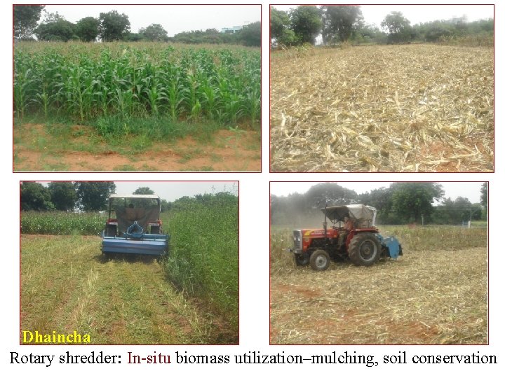 Dhaincha Rotary shredder: In-situ biomass utilization–mulching, soil conservation 