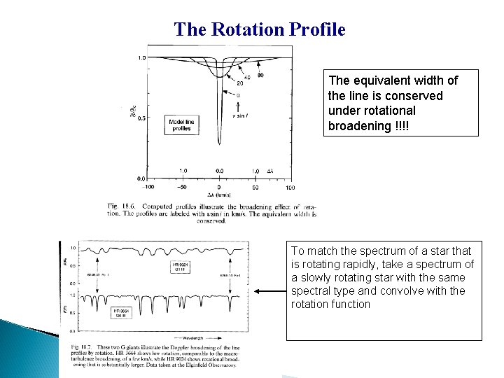 The Rotation Profile The equivalent width of the line is conserved under rotational broadening