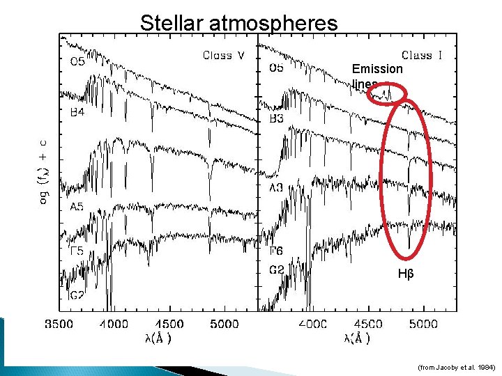 Stellar atmospheres Emission lines Hβ (from Jacoby et al. 1984) 