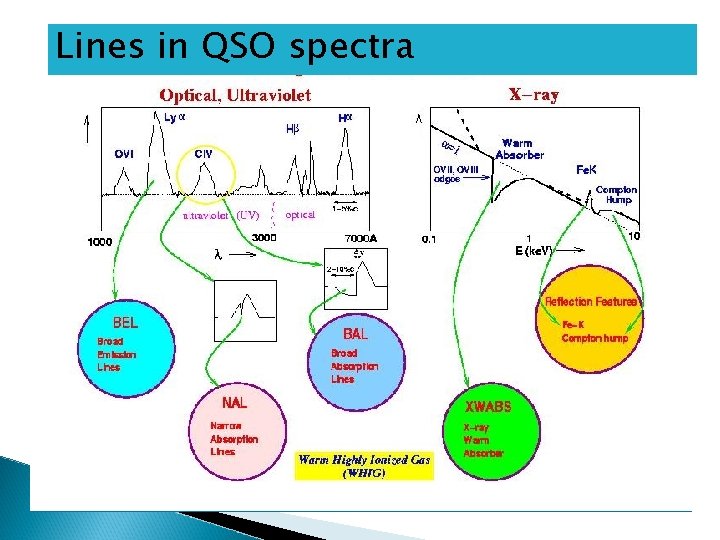 Lines in QSO spectra 